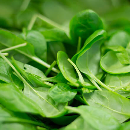 Spinach
